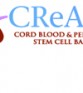 CCBB LOGO FOR BROCHURE HOLDER ENCORE 05072008
